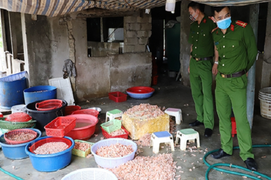 Hà Tĩnh: Phát hiện cơ sở 'hô biến' hàng tạ tôm chết thối thành tôm nõn 